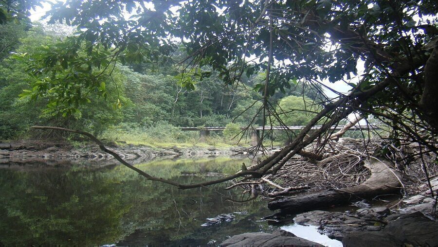 Parc de Campo Ma’an : une merveille aux berges de l’atlantique